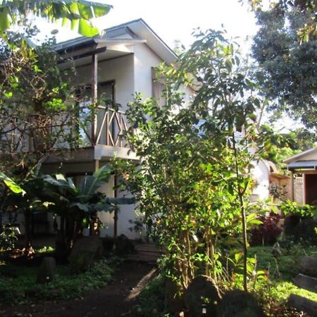 Hostal Marari 汉格罗阿 外观 照片