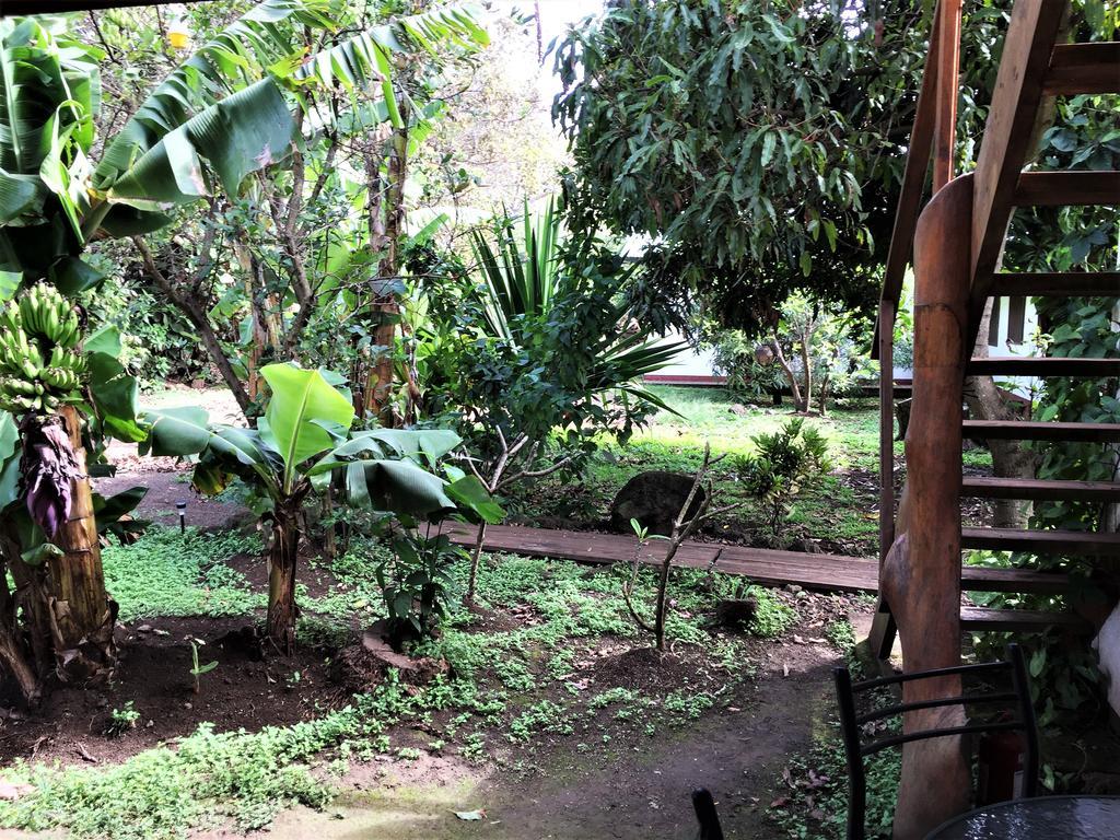 Hostal Marari 汉格罗阿 外观 照片