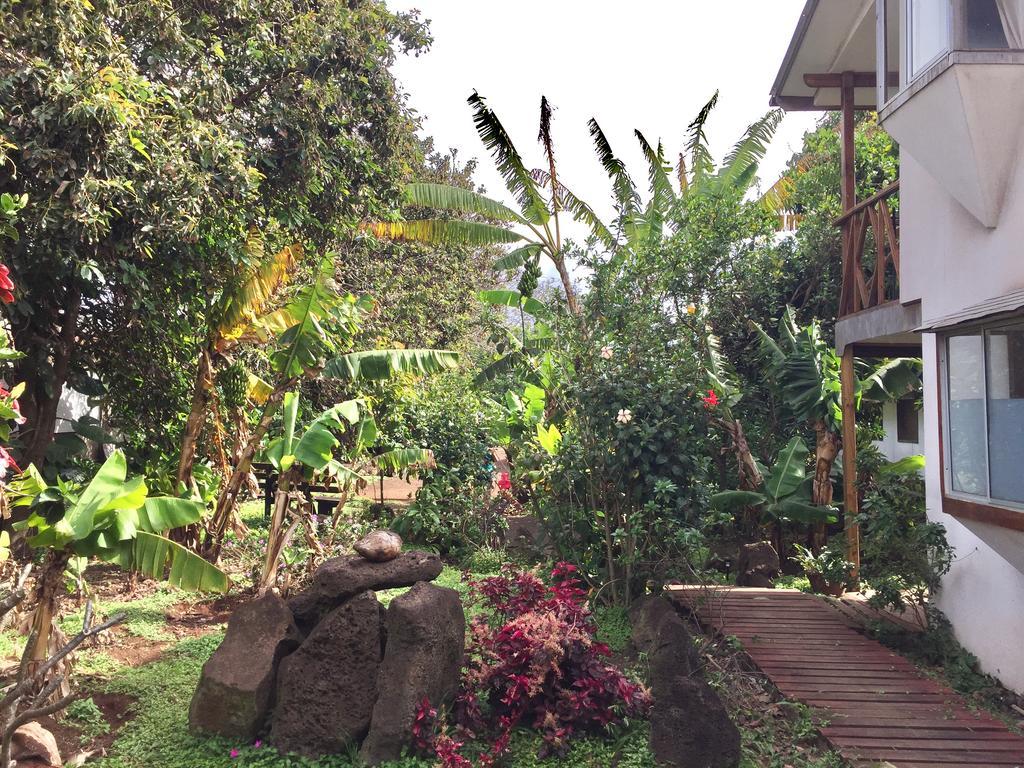 Hostal Marari 汉格罗阿 外观 照片