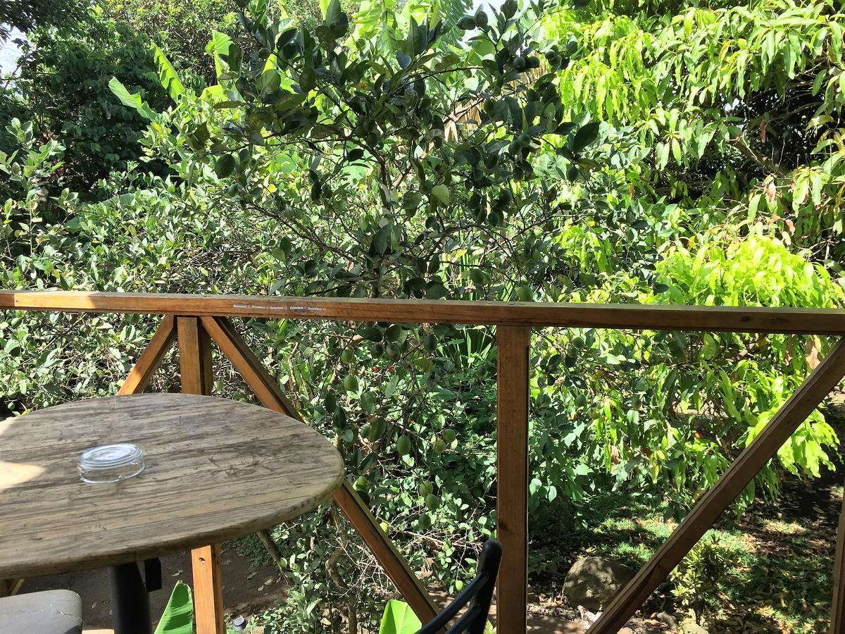 Hostal Marari 汉格罗阿 外观 照片