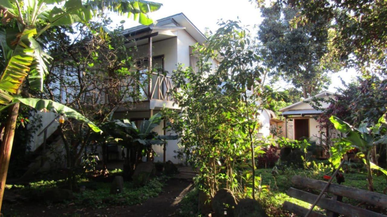 Hostal Marari 汉格罗阿 外观 照片